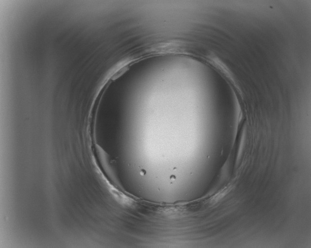 X0000068271434200604281540