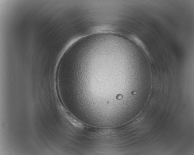 X0000068271435200604281540