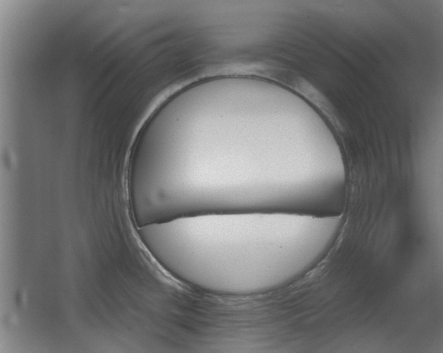 X0000068271436200604281540