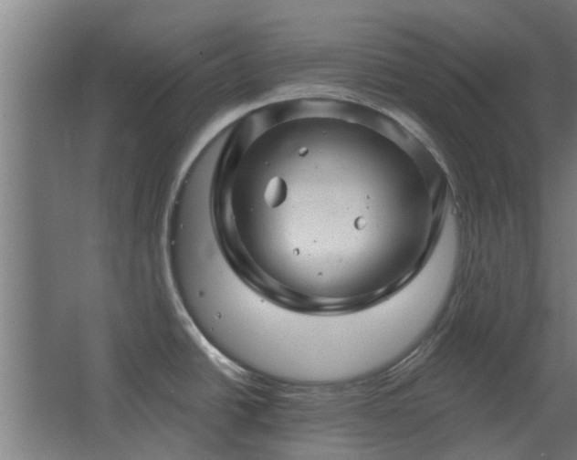 X0000068271438200604281540