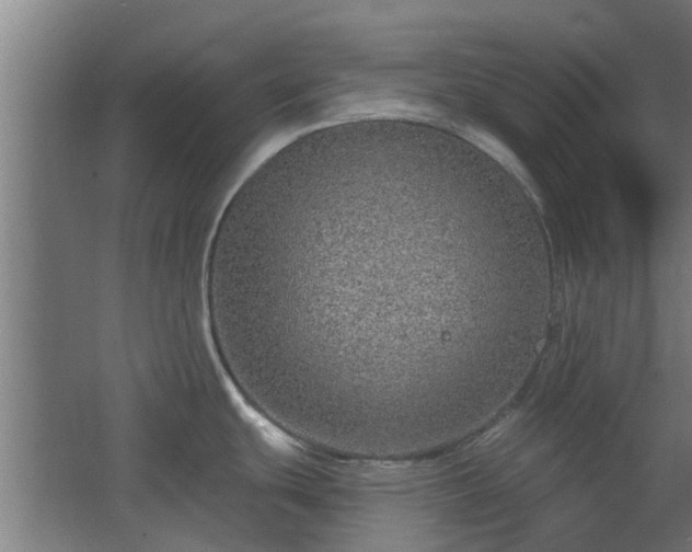 X0000068271439200604281540