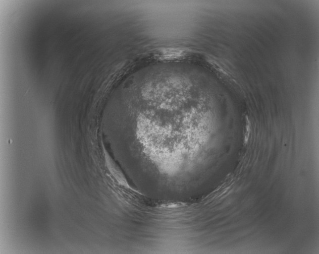 X0000068271441200604281539