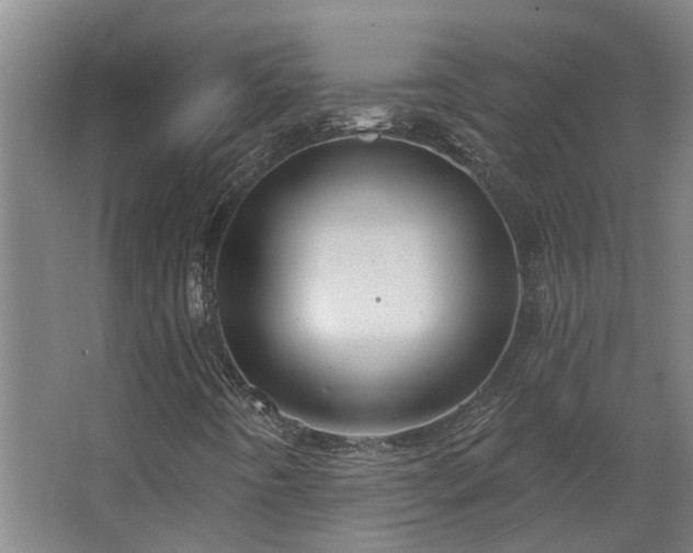 X0000068271442200604281539