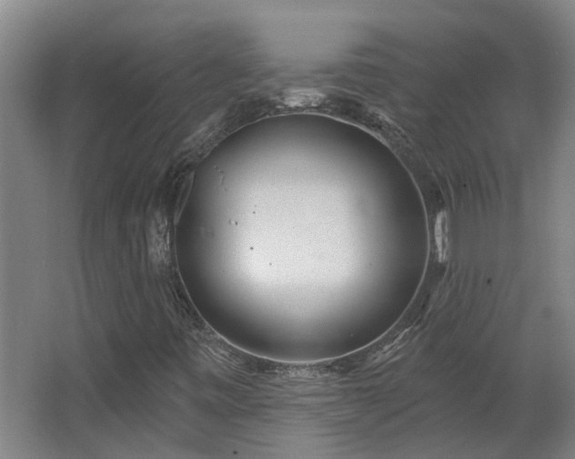 X0000068271443200604281539