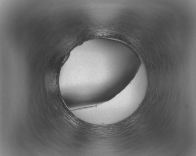 X0000068271444200604281539