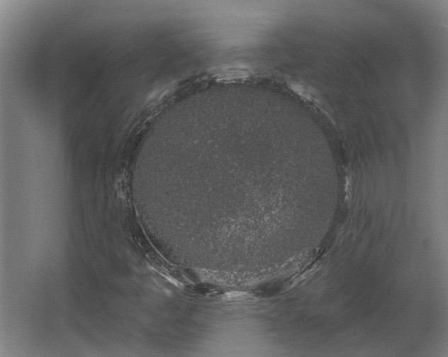 X0000068271445200604281539