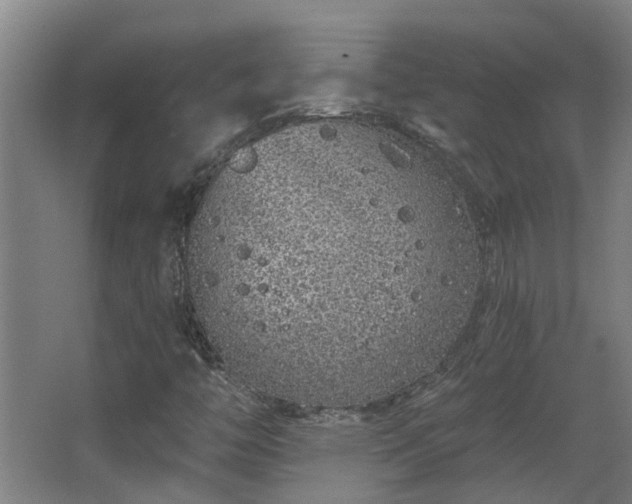 X0000068271446200604281539