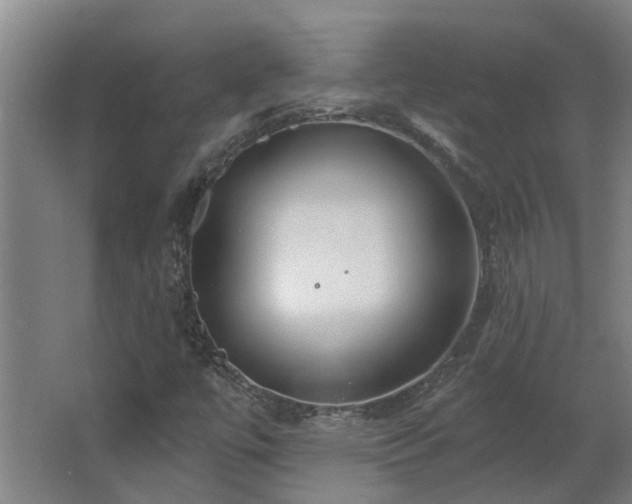 X0000068271447200604281539