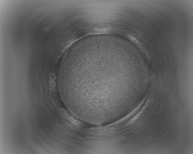 X0000068271449200604281539