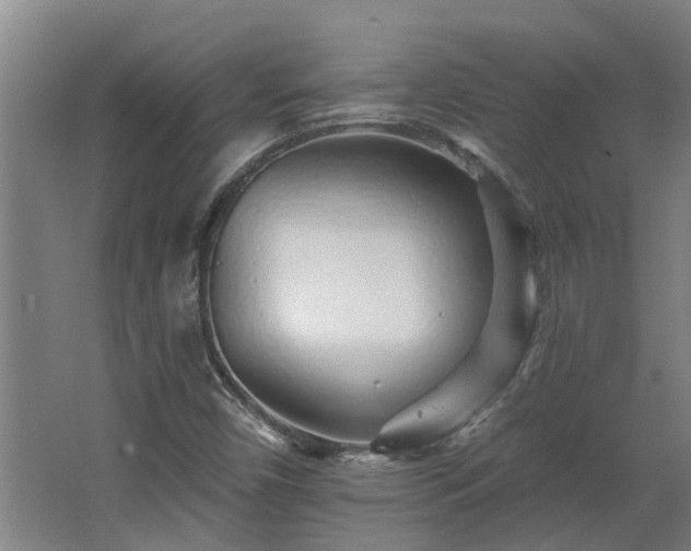 X0000068271450200604281539