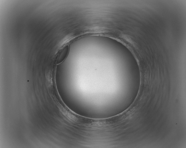 X0000068271451200604281539