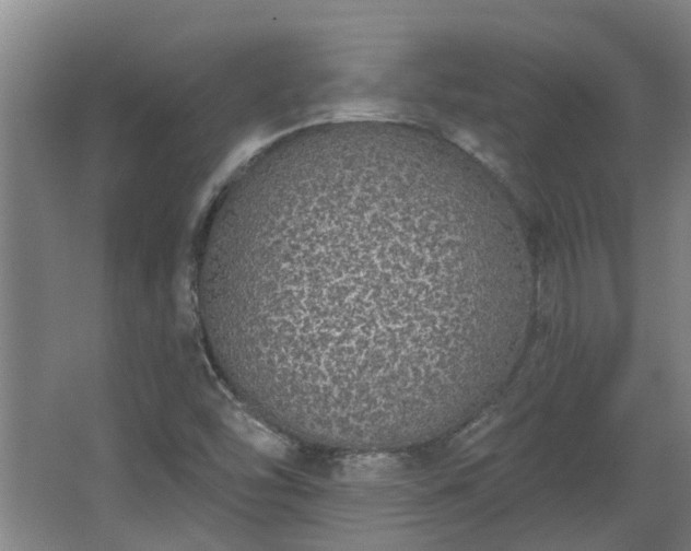 X0000068271454200604281539