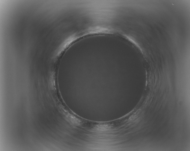 X0000068271455200604281539