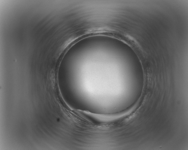 X0000068271457200604281539