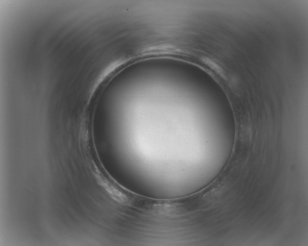 X0000068271458200604281539