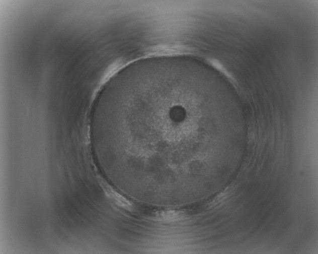 X0000068271459200604281539