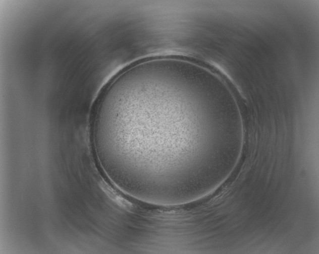 X0000068271460200604281539