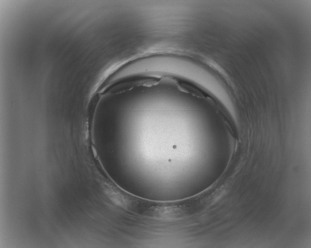 X0000068271461200604281539