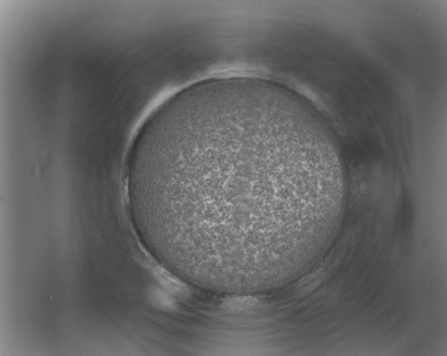 X0000068271462200604281539