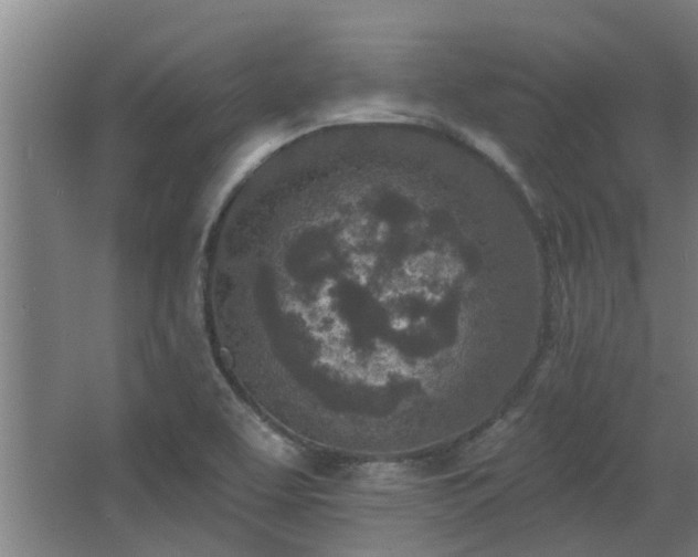 X0000068271463200604281539