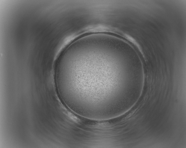 X0000068271464200604281539