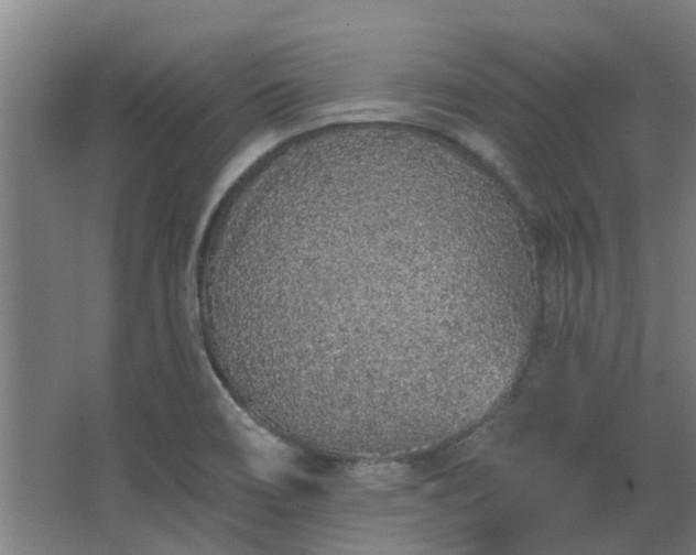 X0000068271466200604281539