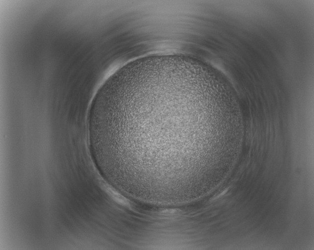 X0000068271467200604281539