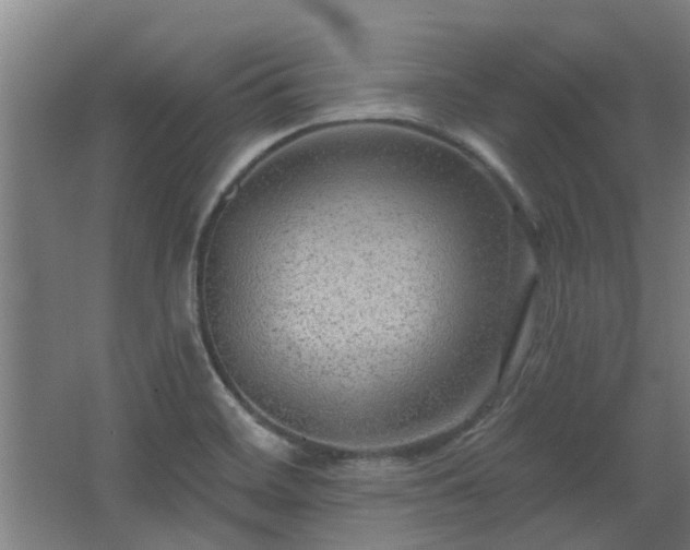 X0000068271468200604281539