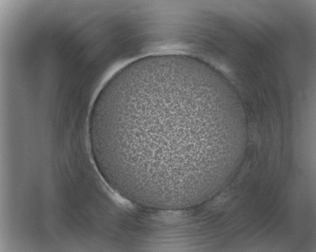 X0000068271470200604281539