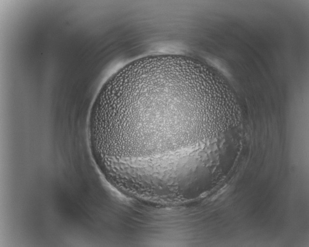 X0000068271471200604281539