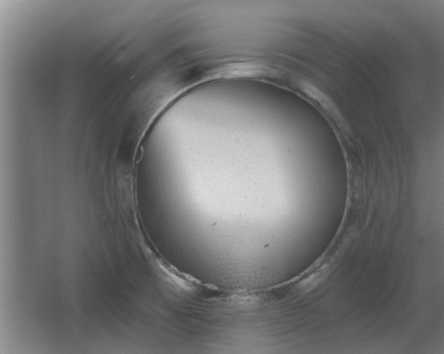 X0000068271473200604281539