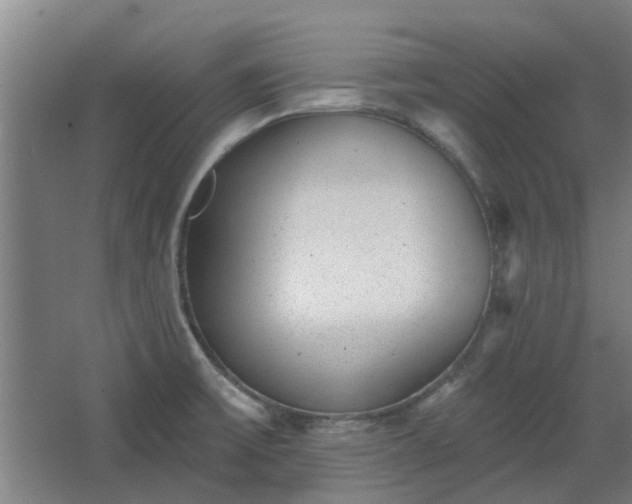 X0000068271475200604281539