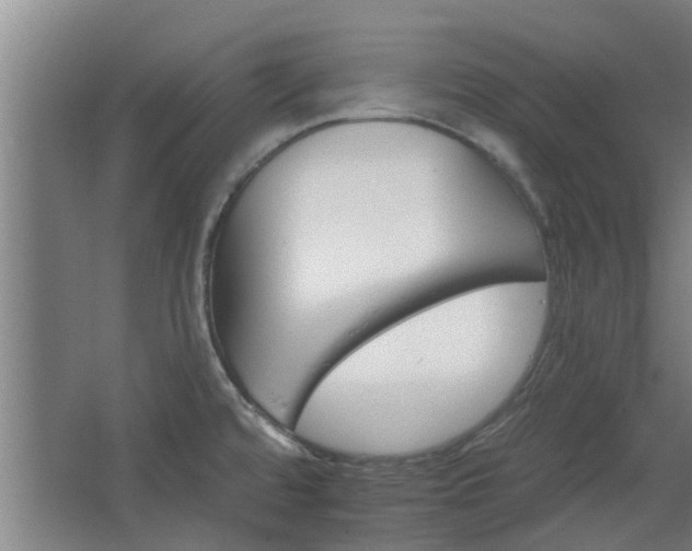 X0000068271480200604281539