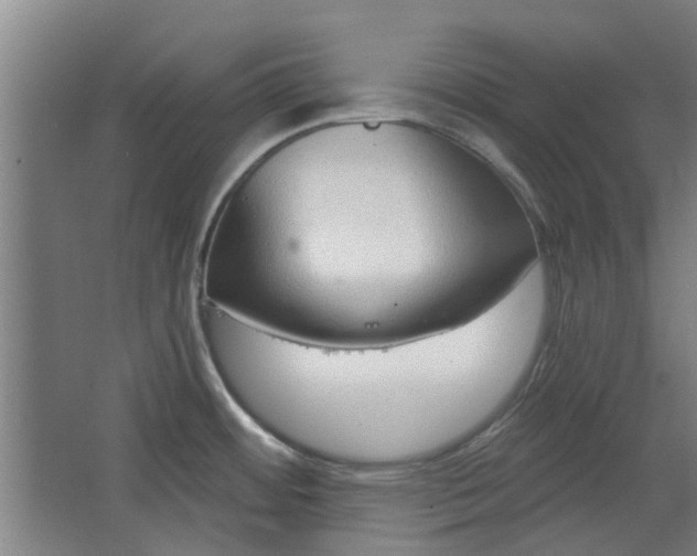 X0000068271484200604281538