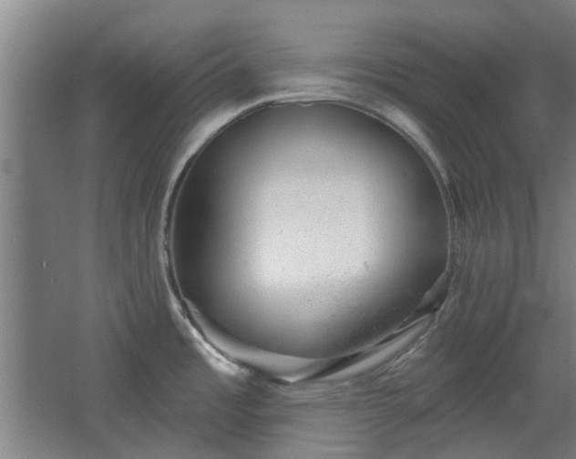 X0000068271485200604281538