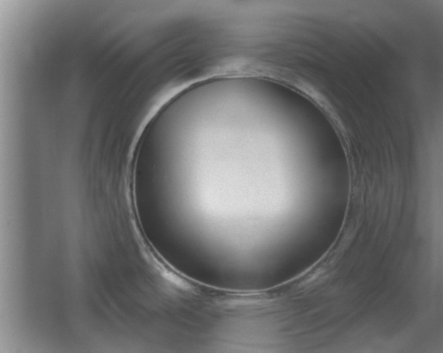 X0000068271486200604281538