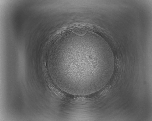 X0000068271489200604281538