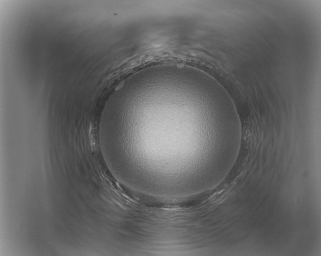 X0000068271490200604281538