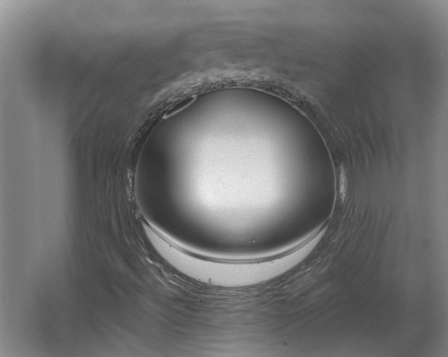 X0000068271492200604281538