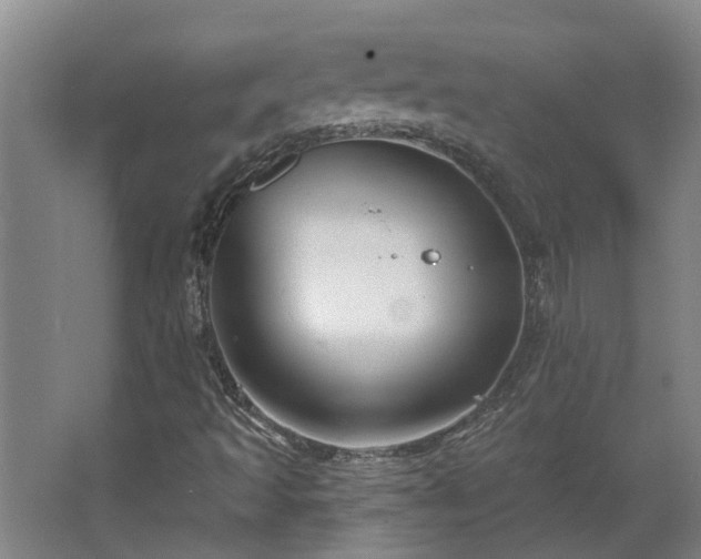 X0000068271493200604281538