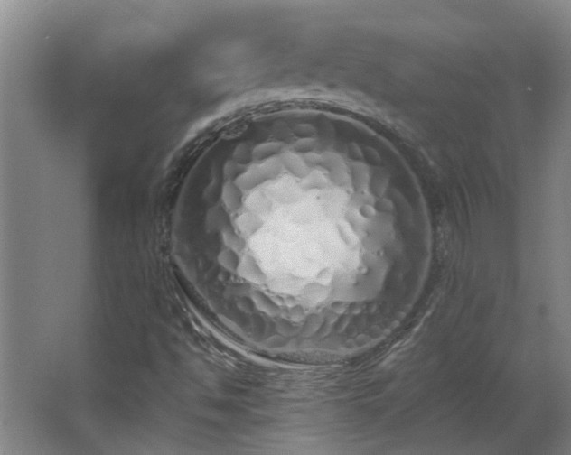 X0000068271494200604281538