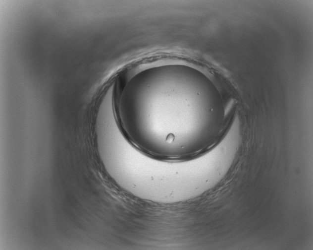 X0000068271496200604281538