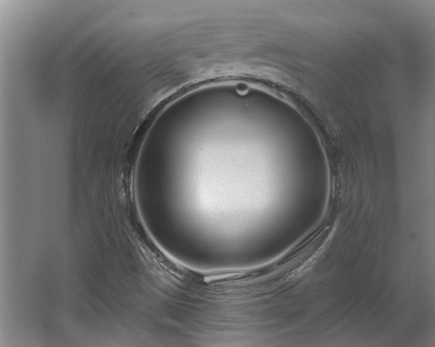 X0000068271497200604281538