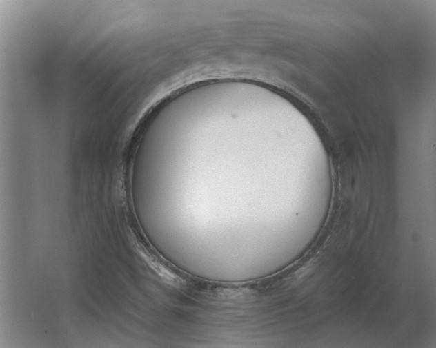 X0000068271498200604281538