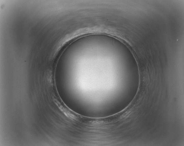 X0000068271499200604281538