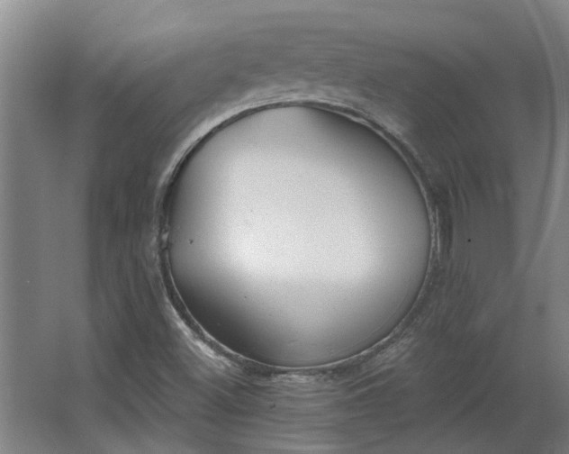 X0000068271500200604281538