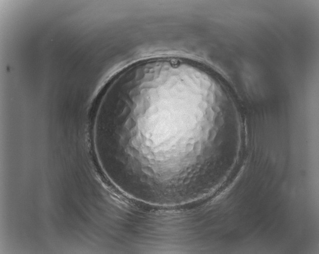 X0000068271501200604281538