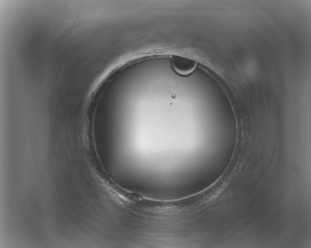 X0000068271502200604281538