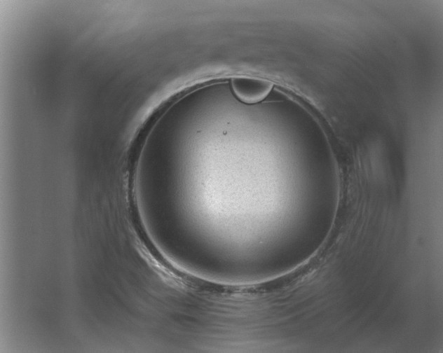 X0000068271503200604281538