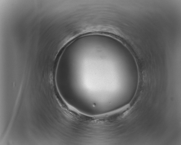 X0000068271505200604281538